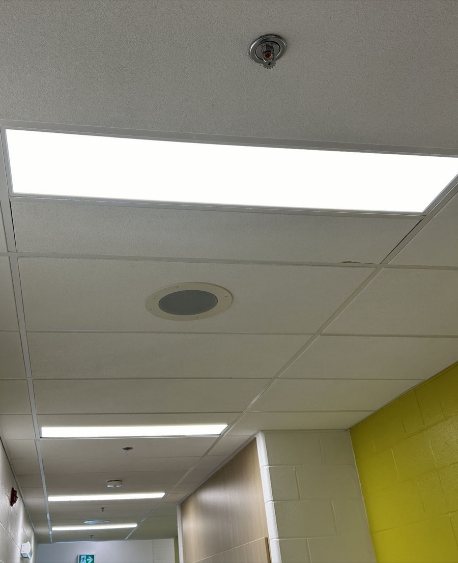 T-Bar Ceiling Lights